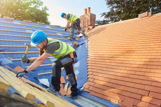 Best Sheet Metal Roofing  in Greenville, FL